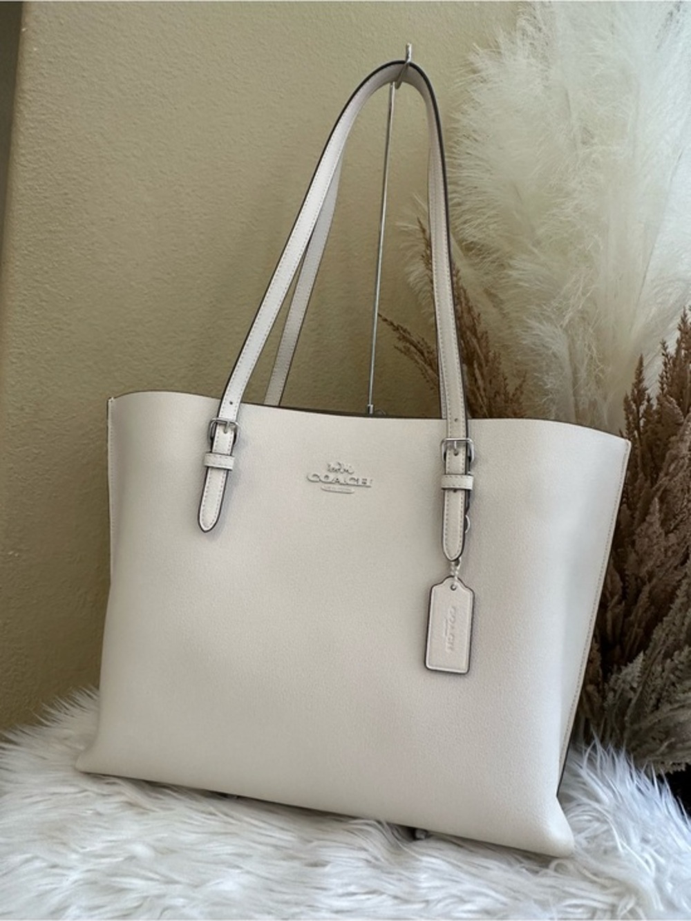 Coach Leather Mollie Tote Bag